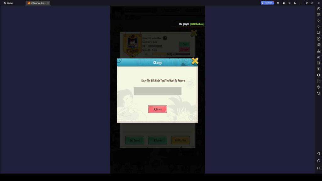 Redeeming Your Codes in Z Warrior Academy