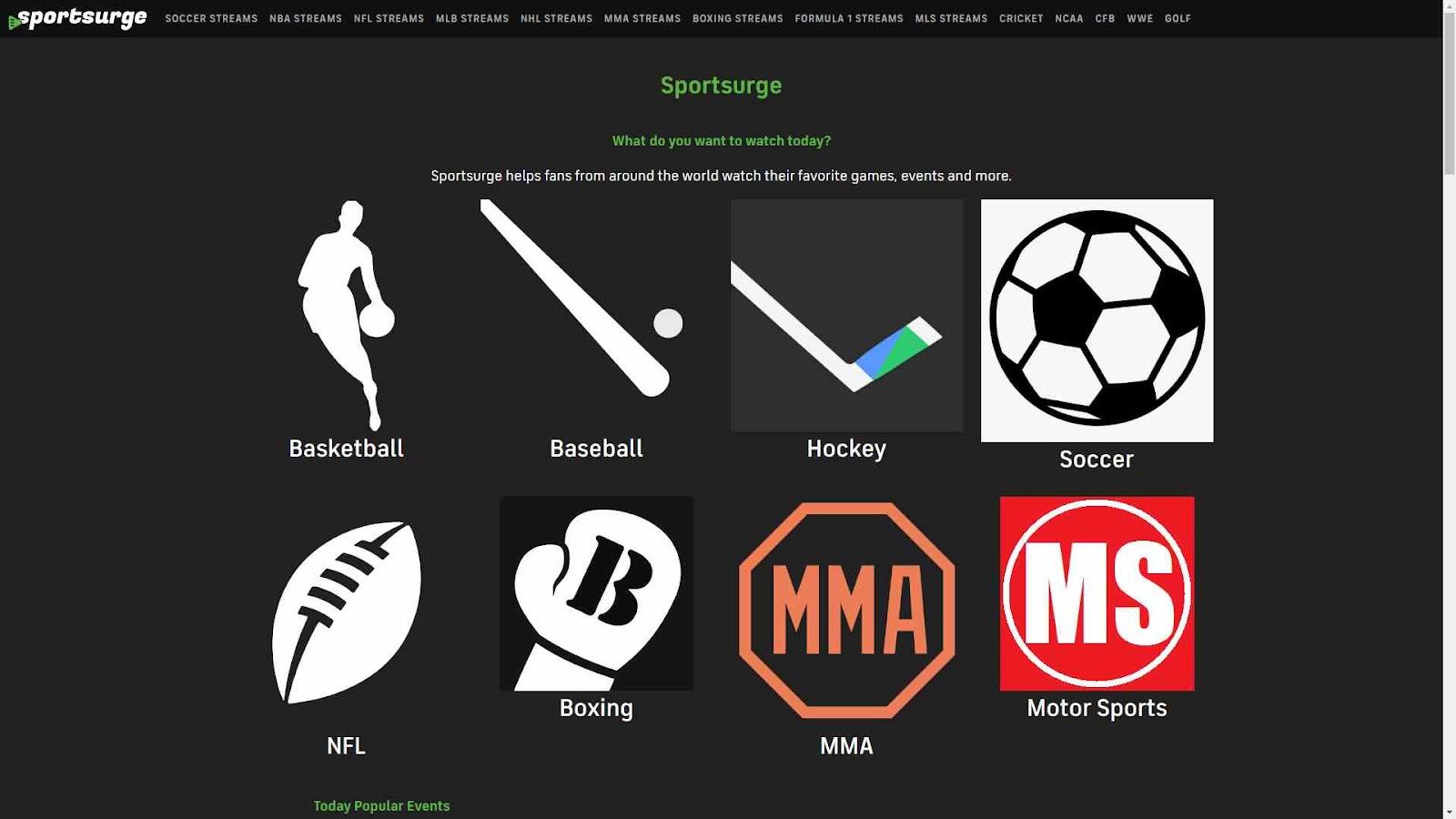 What is SportSurge
