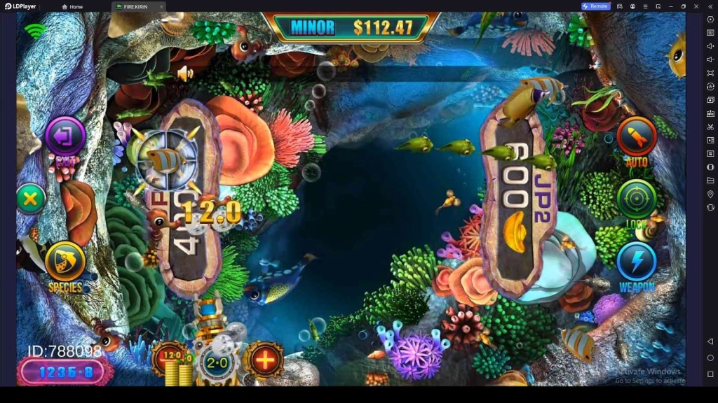 Auto Play