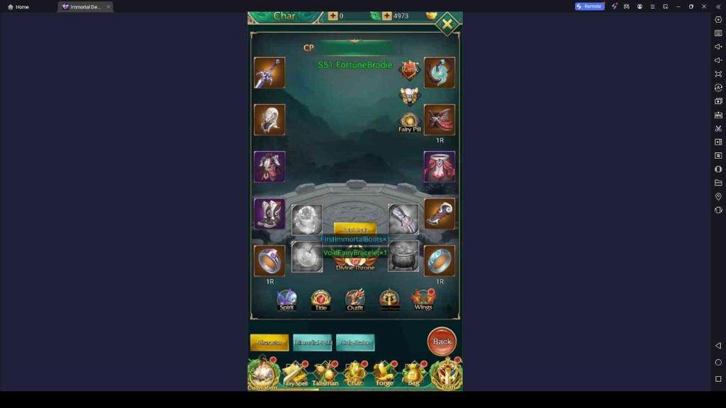 What is Character Section