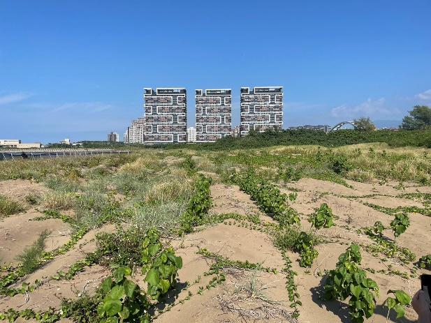 一張含有 戶外, 天空, 植物, 樹狀 的圖片自動產生的描述