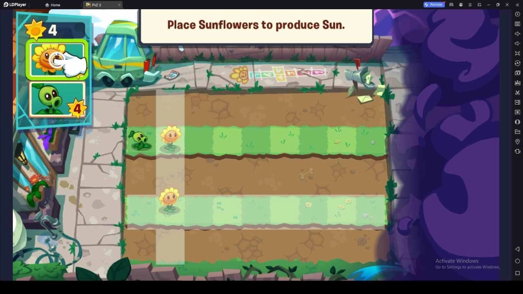 Grow Sunflowers First