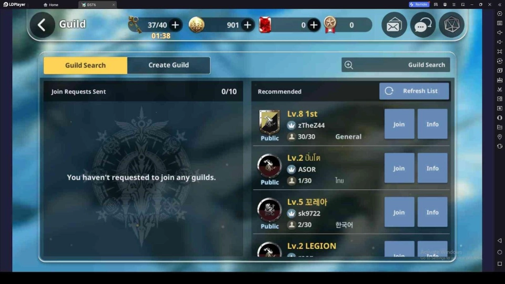 DST6 Guild System