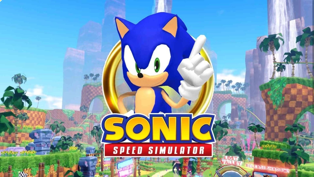 Sonic Speed Simulator