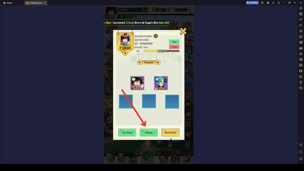 Redeeming Your Codes in Z Warrior Academy