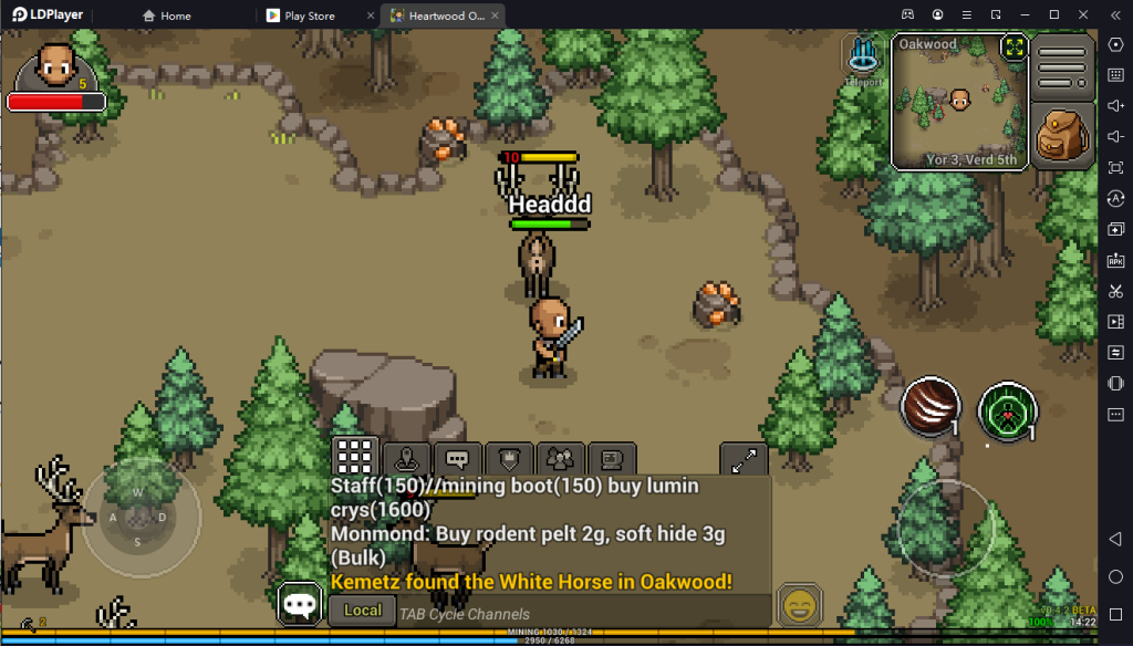 Heartwood Online ไกด์เล่นเกมฉบับเข้าใจง่ายกับเกม MMORPG ภาพ Pixel ย้อนยุคบน LDPlayer9