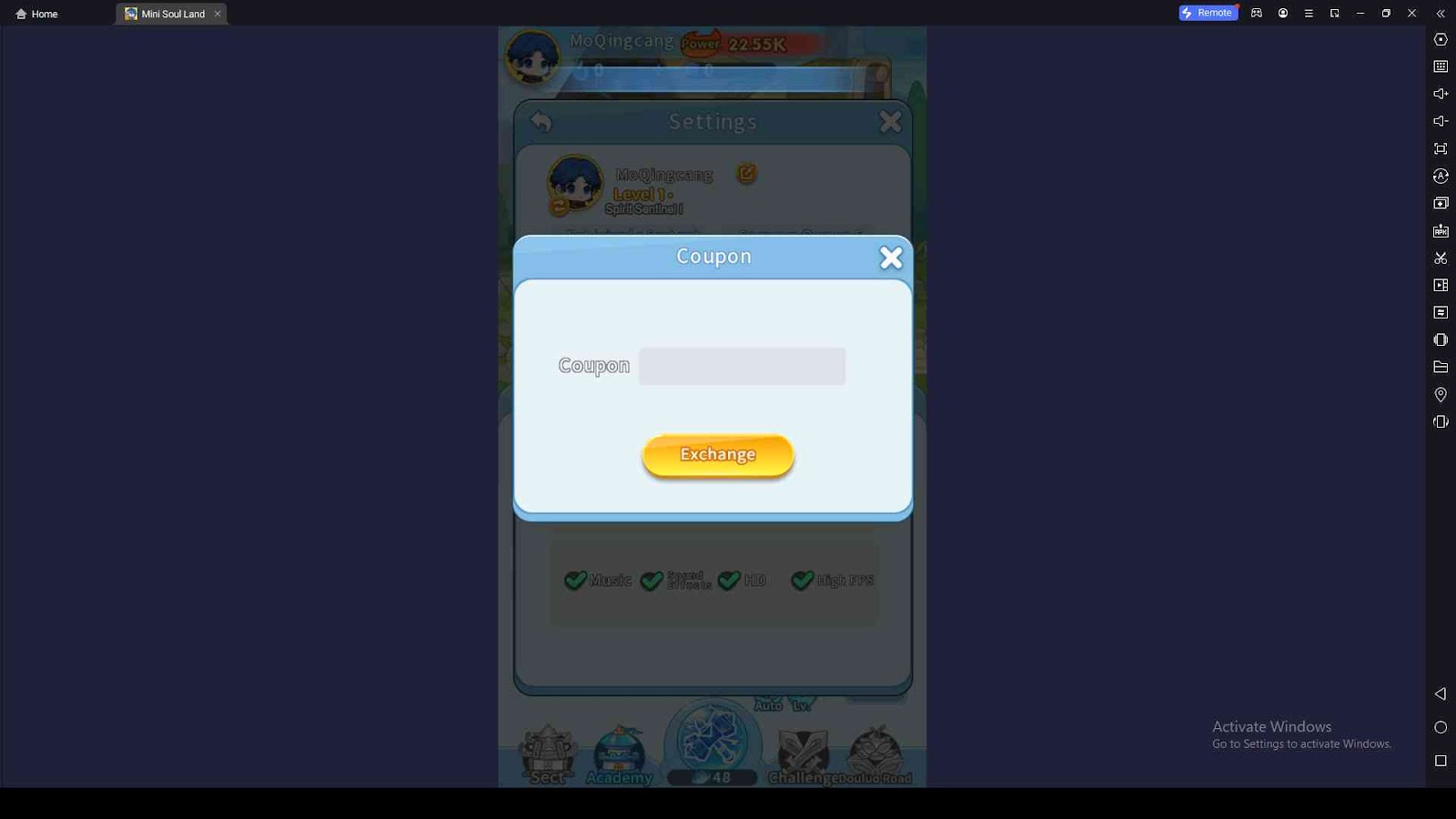 Redeeming Process for the Codes in Mini Soul Land