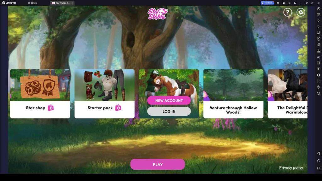 Star Stable Codes Guide