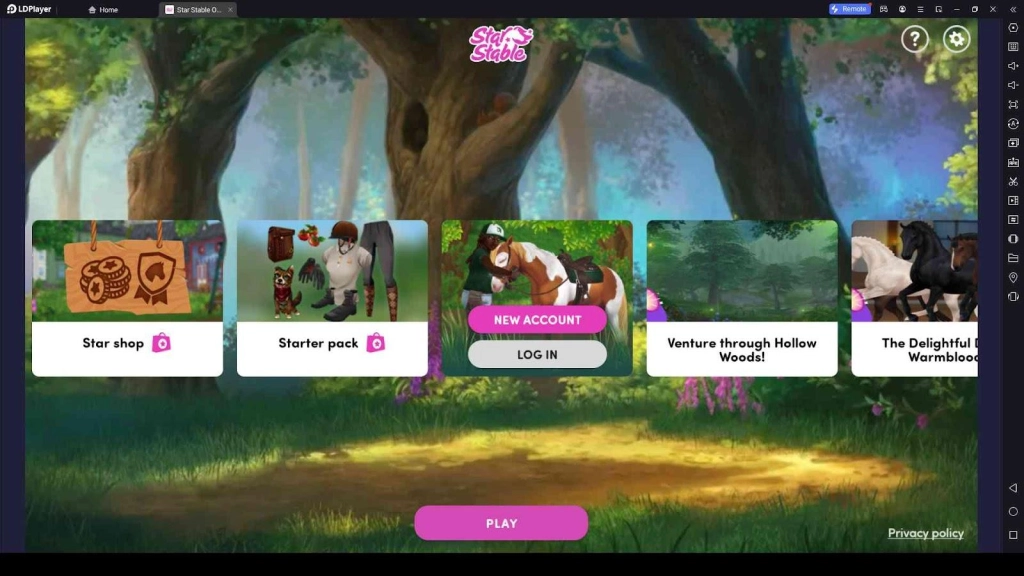 Star Stable Codes Guide